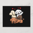 Recherche de caniche français cartes postales Chiot