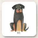 Recherche de rottweiler dessous de verres Amoureux des chiens