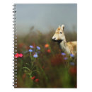 Recherche de poppy carnets Champ