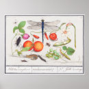 Recherche de fleurs pêche posters Vintage