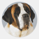 Recherche de bernard autocollants Commune