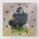 Recherche de gorilles horloges Singe
