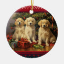 Zoek naar golden retriever kerstmis ornamenten Gouden opvrager