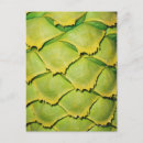 Recherche de motif texture cartes postales Botanique
