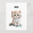 Recherche de petit chat blanc cartes postales Rose