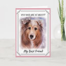 Zoek naar lassie kaarten Collie