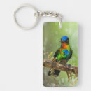 Recherche de colibri porteclés Coloré