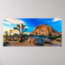 Recherche de joshua tree posters Cactus