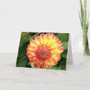 Zoek naar dahlia kaarten Tuin