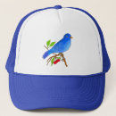 Recherche de oiseaux casquettes Animal