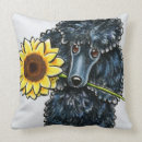 Recherche de caniche noir coussins Canicule noire