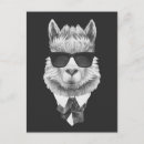 Recherche de lunettes de soleil cartes postales Alpaga
