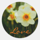 Recherche de jonquille jaune autocollants Amour
