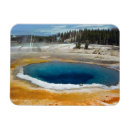 Recherche de piscines magnets Arbre