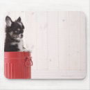 Recherche de seau tapis souris Tir de studio
