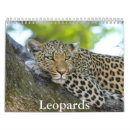 Zoek naar leopard kalenders Luipaarden
