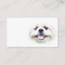 Recherche de tzu shih cartes visite Animal