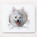 Recherche de esquimau tapis souris Chiot