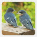 Recherche de hirondelle grange autocollants Avale