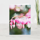 Recherche de coeurs photographie Rose