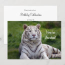 Recherche de grand chat invitations Tigre