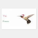 Recherche de colibri vert autocollants Rouge