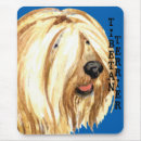 Recherche de tibétain tapis souris Chien