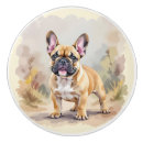 Recherche de chien brun boutons et poignées de porte Animaux