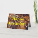 Recherche de camo photographie Anniversaire
