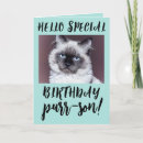 Recherche de persian vœux cartes Chat