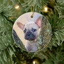 Zoek naar french bulldog ornamenten Puppy