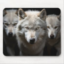 Recherche de wolf tapis souris Sauvage