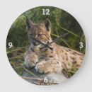 Recherche de lynx horloges Chat