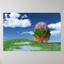 Zoek naar lente equinox posters Winter