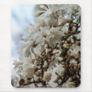 Recherche de magnolia tapis souris Arbre