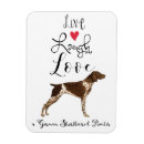Recherche de pointeurs magnets Gsp
