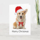 Zoek naar corgi kaarten Vakantie