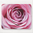 Recherche de roseraie rose Jardin