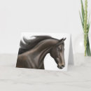 Zoek naar renpaarden kaarten Ruiter