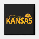 Recherche de champs magnets Usa