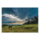 Zoek naar mooi paard kunst Foto