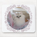 Recherche de chat persan tapis souris Chats