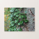 Zoek naar schors boom puzzels Natuur