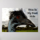 Recherche de visage effrayant posters Faune