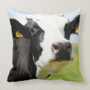 Recherche de holstein coussins Vache