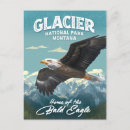 Recherche de aigle chauve cartes postales Pour lui