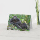 Recherche de singe gorille vœux cartes Ape
