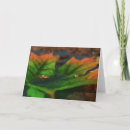Recherche de miniature vœux cartes Imaginaire
