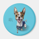 Recherche de rat magnets Animaux domestiques
