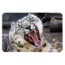 Recherche de chats sauvages magnets Léopard